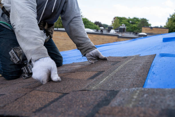 Best Shingle Roofing Installation  in Mount Hope, WV