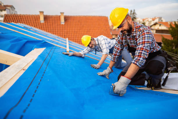 Best Storm Damage Roof Repair  in Mount Hope, WV
