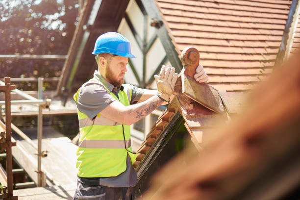 Best Roof Leak Repair  in Mount Hope, WV
